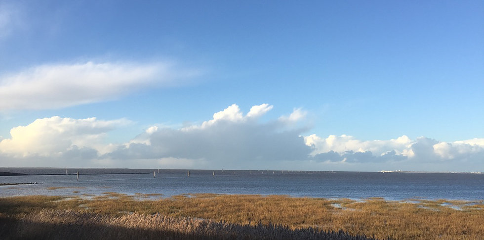 Macintosh SSD:Users:petra:Desktop:Horizont.jpg